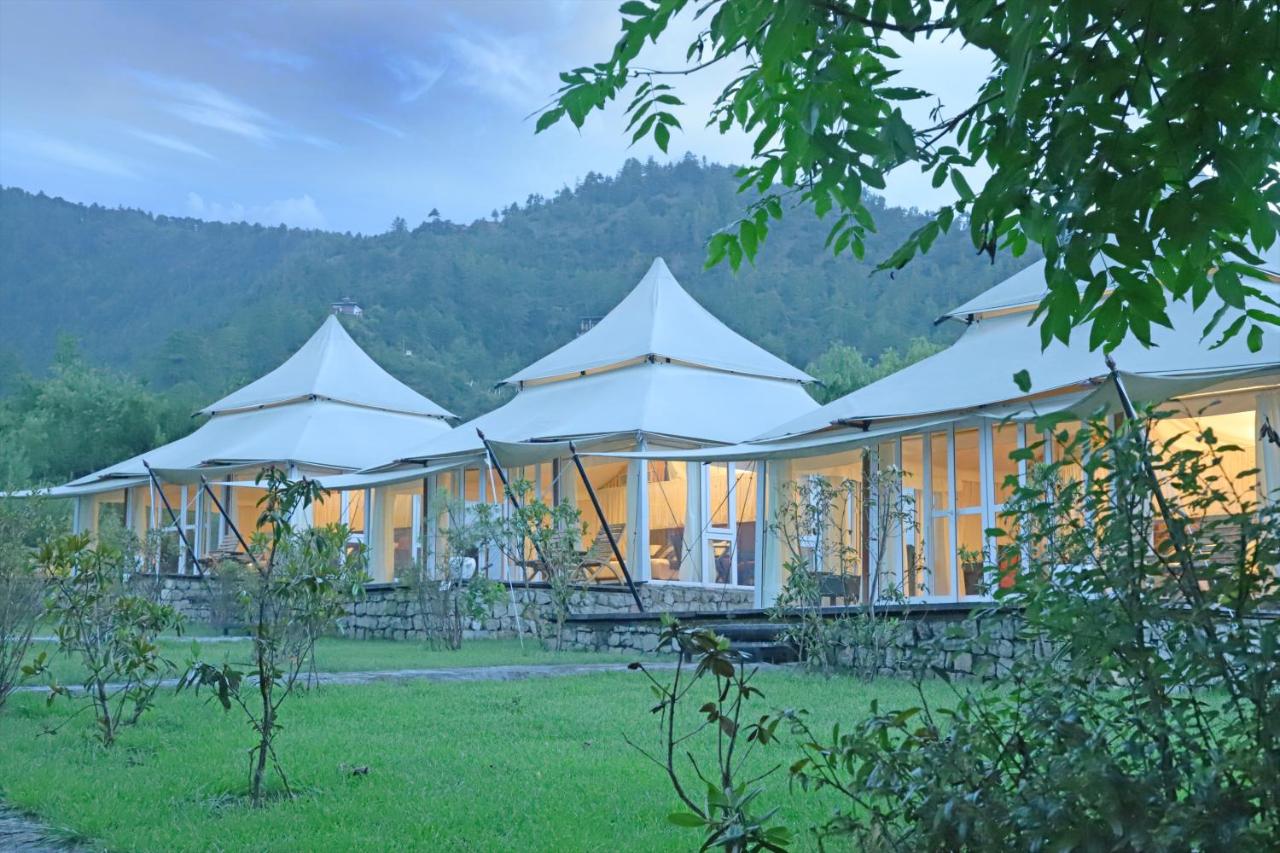 Glamping at night